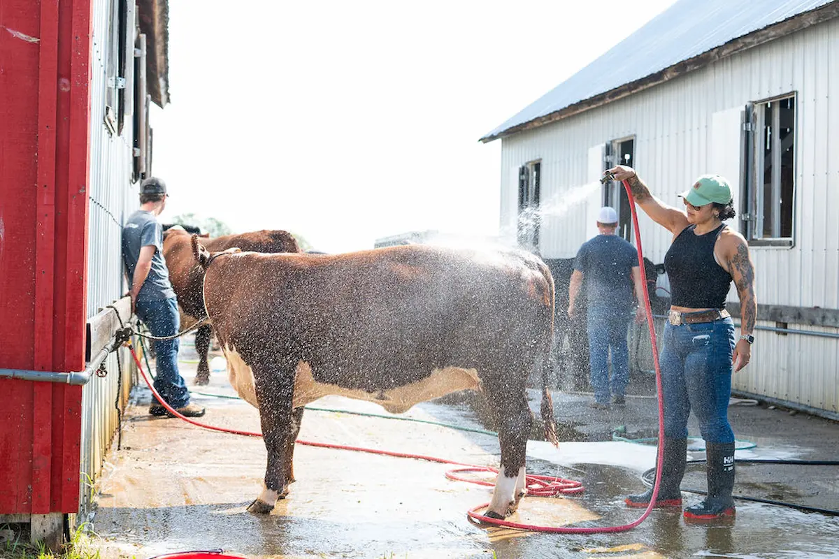 Beachburg Fair photo 1