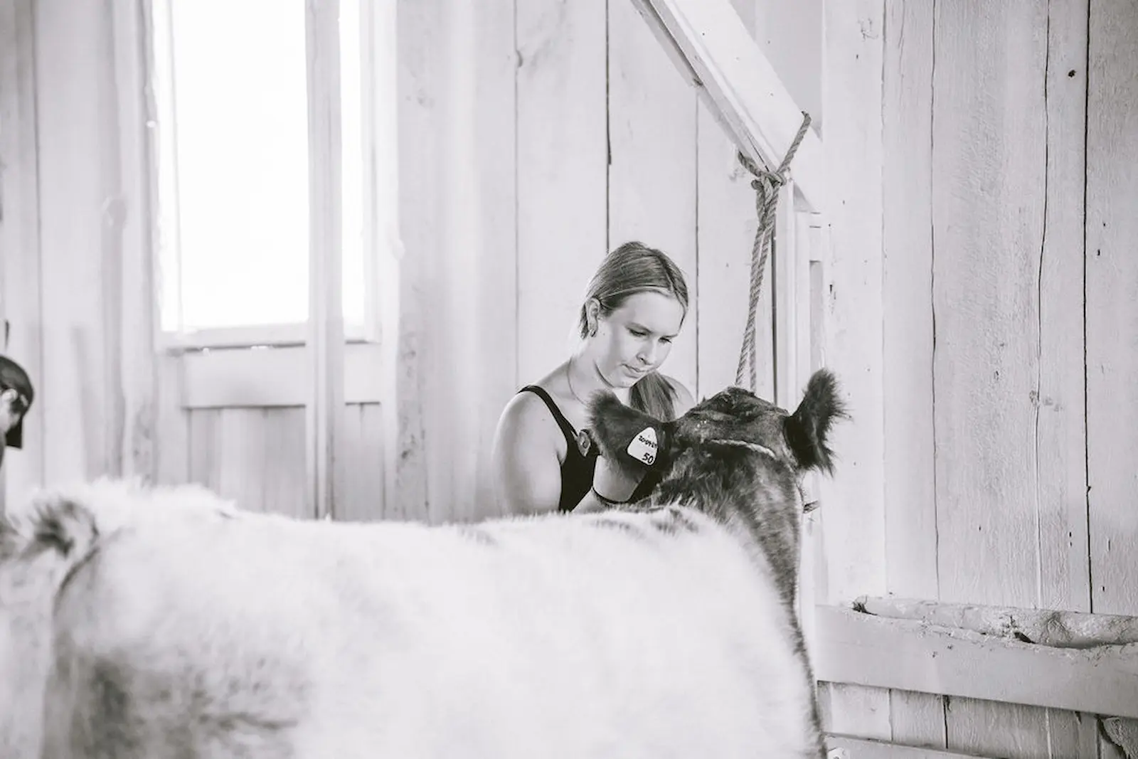 Beachburg Fair photo 4