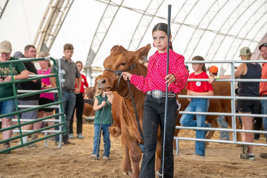 Beachburg Fair photo 9