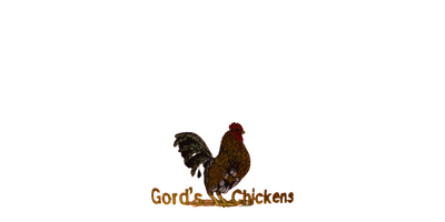 Gords Chickens